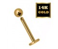 Gold Labret Lip Piercing