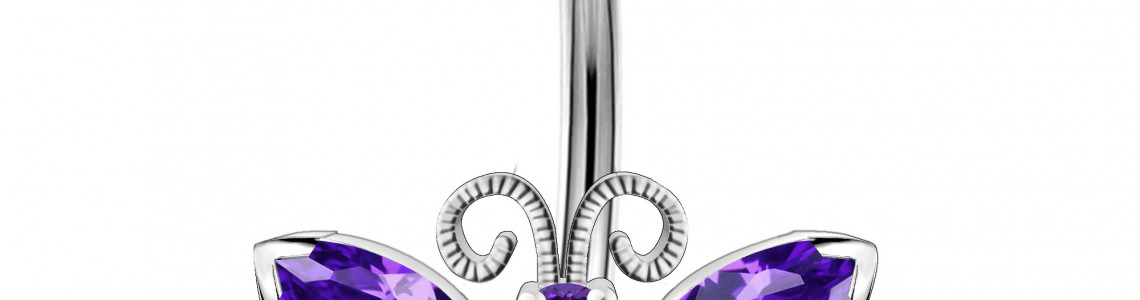 Silver Belly Rings in Titanium and 316L