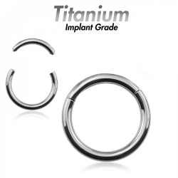 Titanium Segment Ring - Opens & Closes Smoothly - Top Quality Clicker Rings - Quality tested by Sheffield Assay Office England